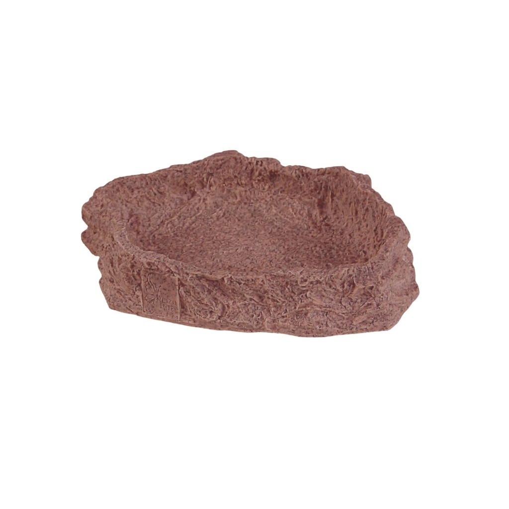 RS5011-8434744005557