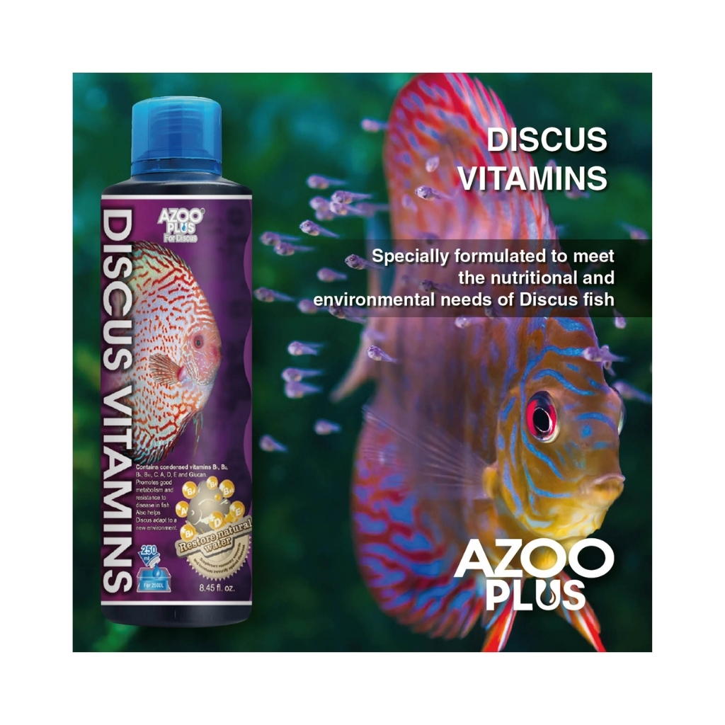 AP17816-4714954178161 (5)