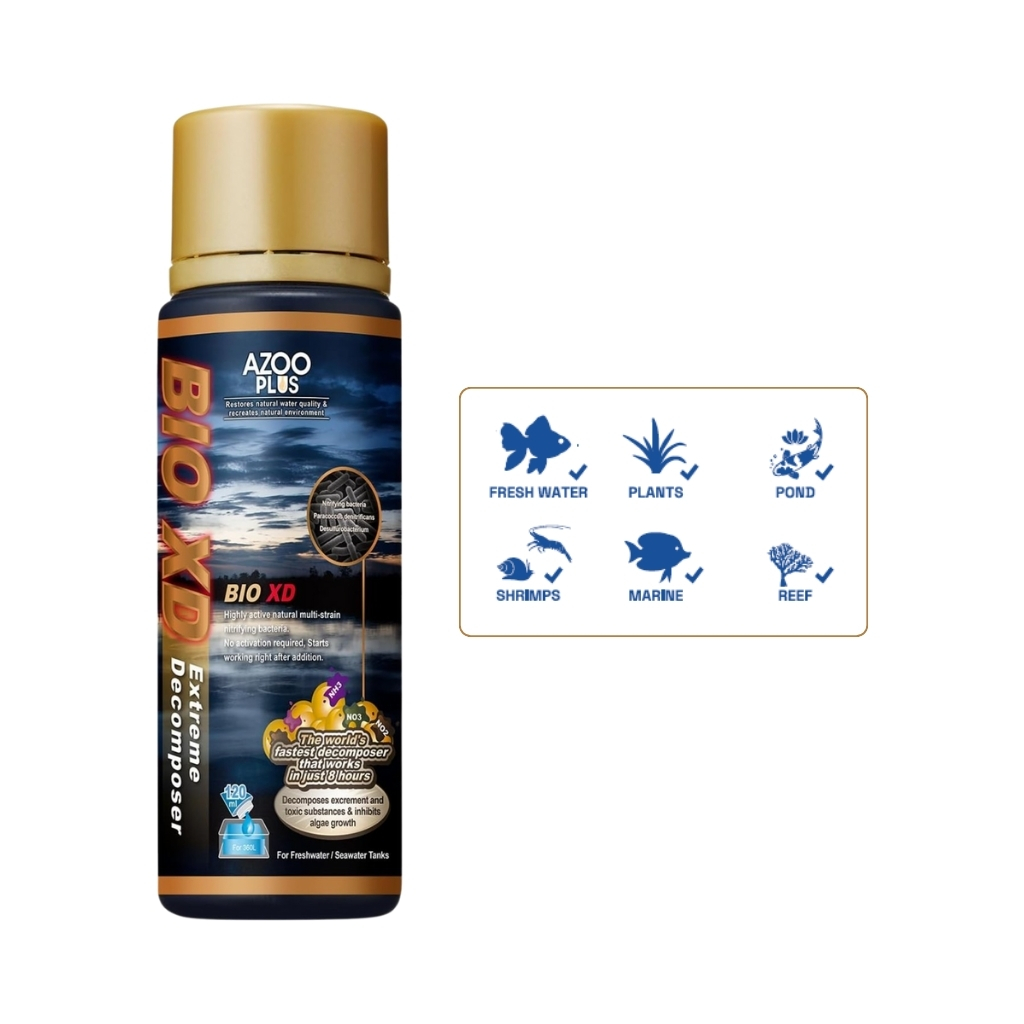 AP48019-4711289809005 (2)