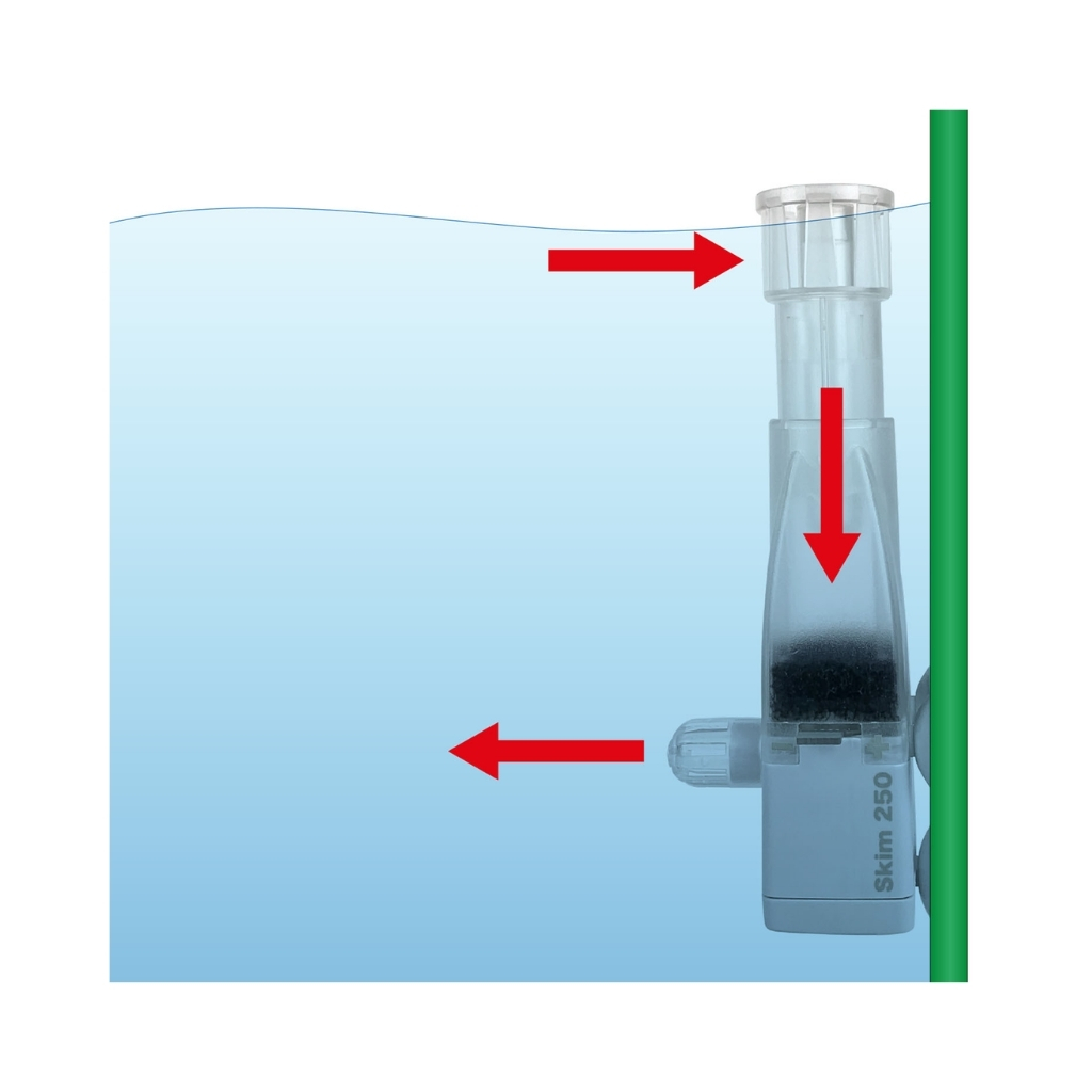 AZ13124-4714954131241 (6)