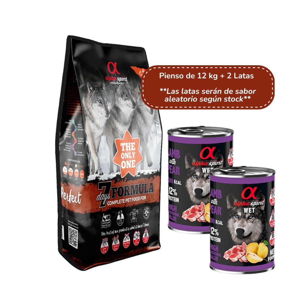 AS4205512-8436586310318