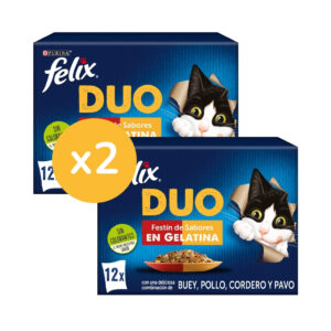FELIX - Duo Gelatina (24x85 gr) - Comida Húmeda Festín de Sabores (Buey y Aves, Pollo y Riñón, Cordero y Buey, Pavo e Hígado) (2 Cajas de 12x85 gr)