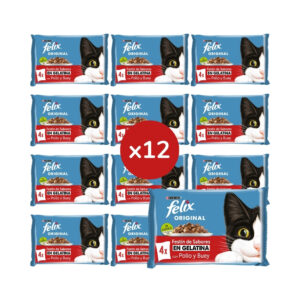 FELIX - Original Gelatina (48x85 gr) - Comida Húmeda Festín de Sabores (Buey y Pollo) (12x4x85 gr)
