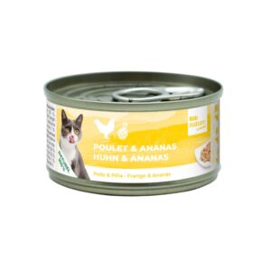 BUBIMEX Bubi Nature Pollo y Piña (70 gr) - Alimento Complementario Natural para Gatos con Ingredientes 100% Naturales