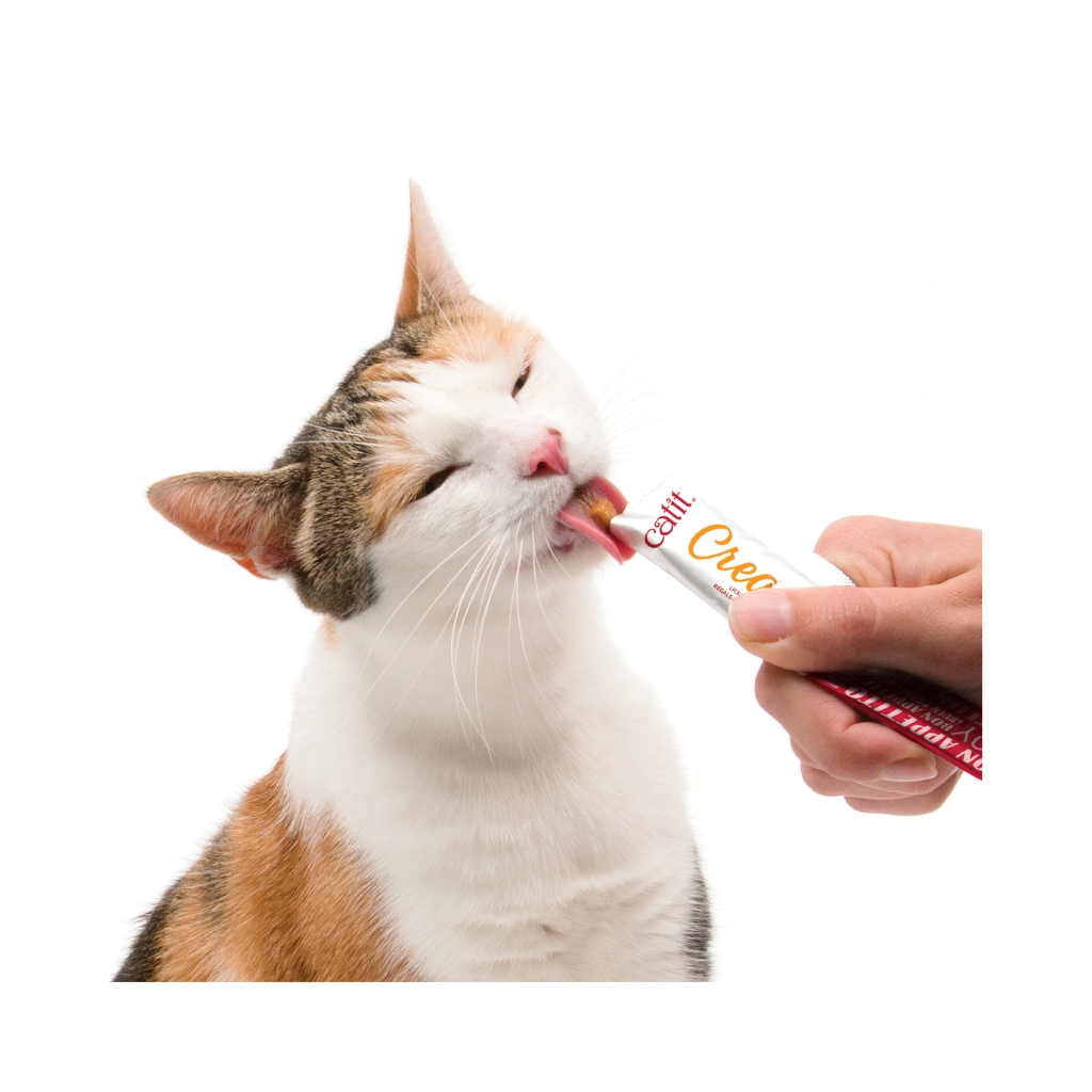 44425-022517444252 (5)