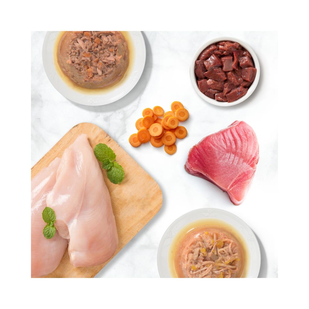 44711-022517447116 (10)