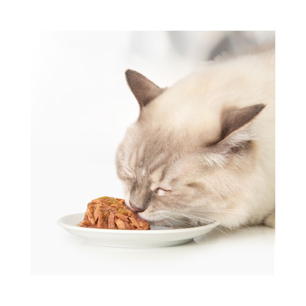 44711-022517447116 (9)