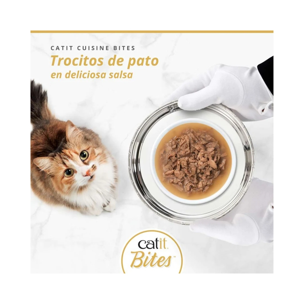 45041-022517450413 (2)