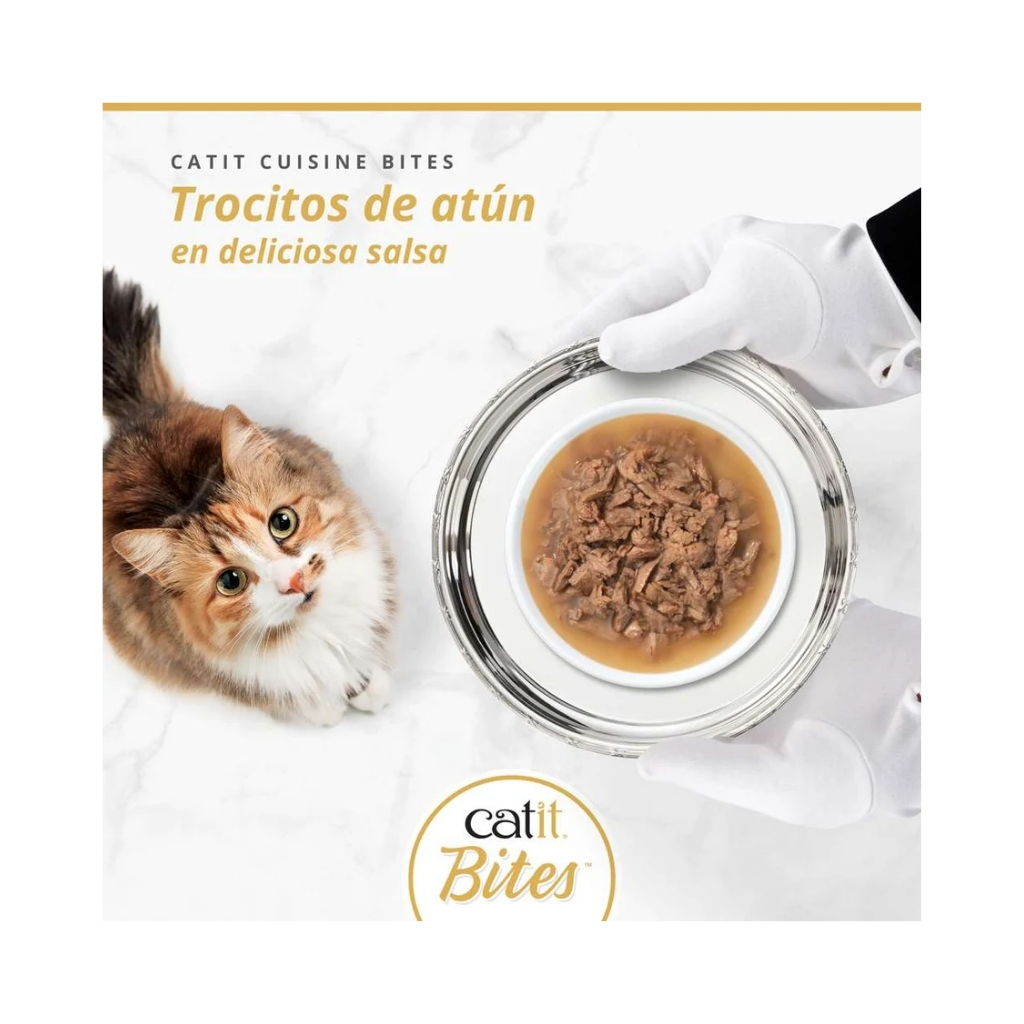 45042-022517450420 (2)