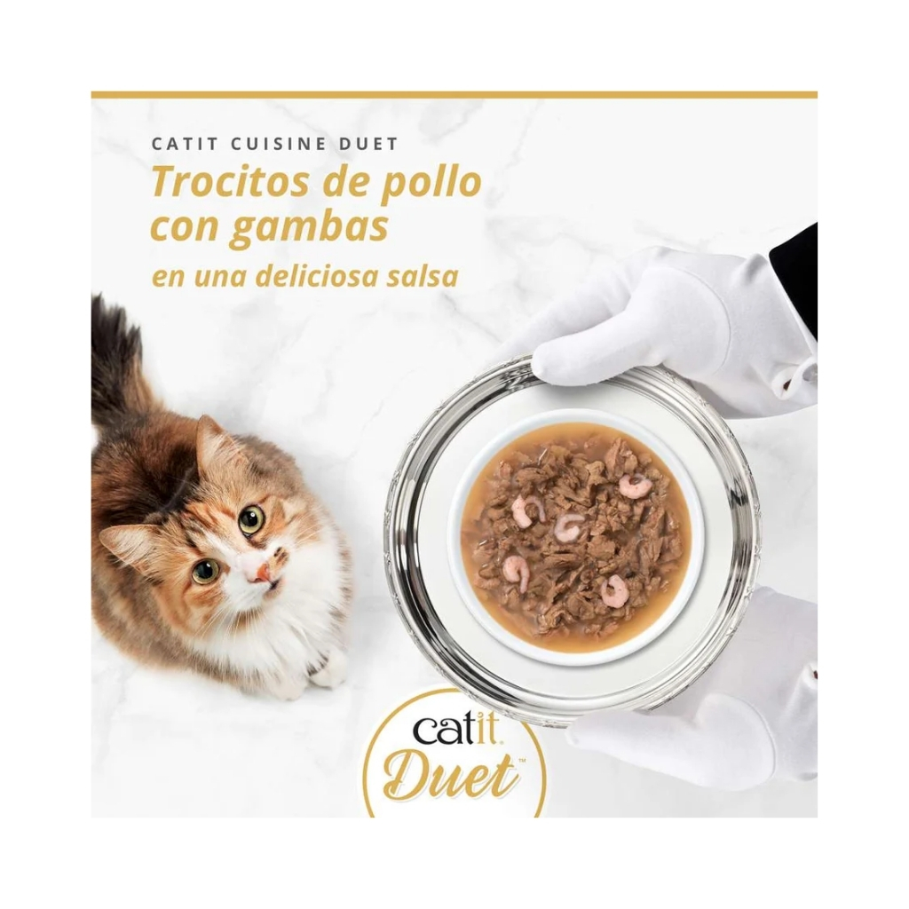 45050-022517450505 (3)