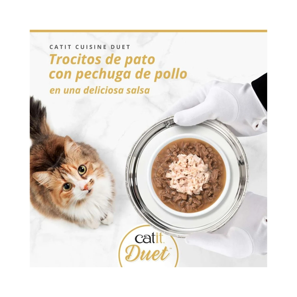 45051-022517450512 (2)