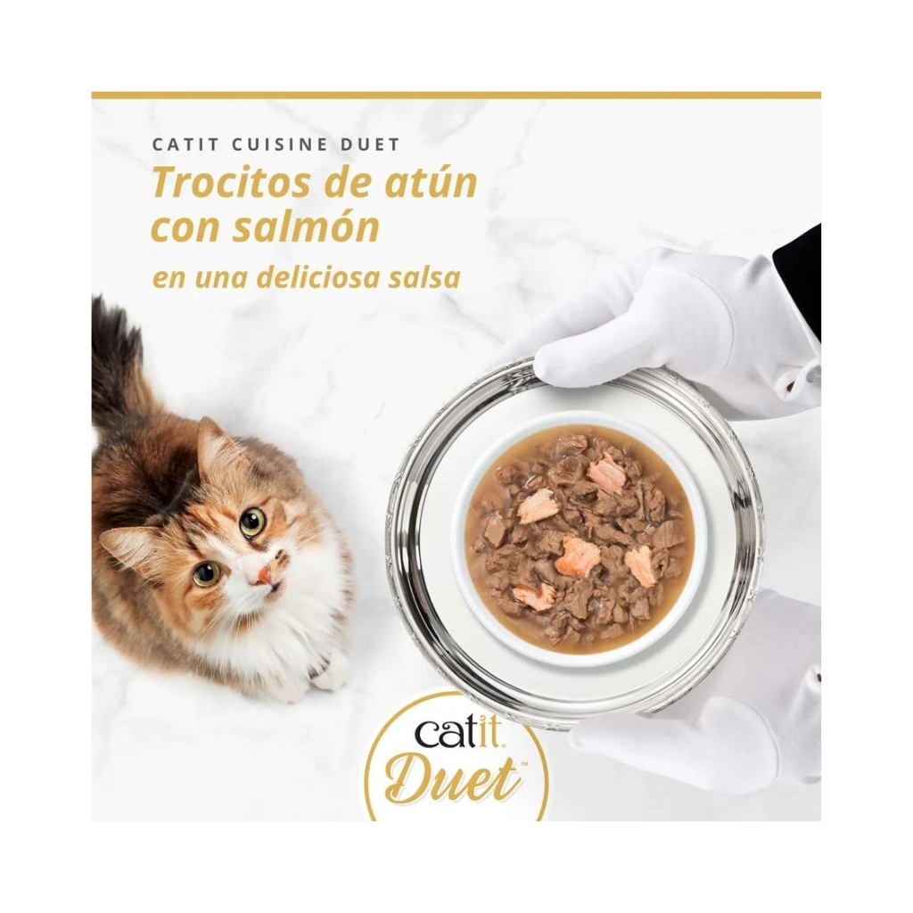 45052-022517450529 (2)