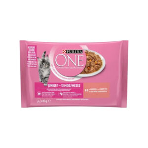 PURINA ONE Junior Mini Filetes en Salsa (4x85 gr) (Salmón y Zanahorias) - Comida Húmeda para Gatitos en Crecimiento con DHA para el Desarrollo Cerebral y Visual