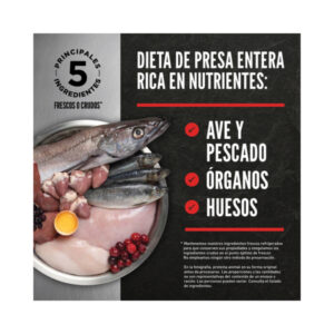 ORIJEN Regional Red Cat pienso gato sin cereales carne roja