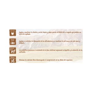 Evoque Adult Medium & Large Wild Boar & Lamb pienso perro raza grande